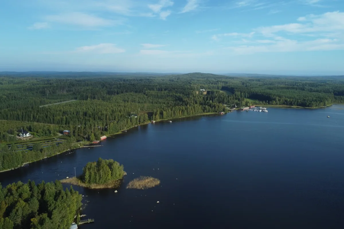 Lanskap hutan di Finlandia tempat lokasi proyek pembangunan