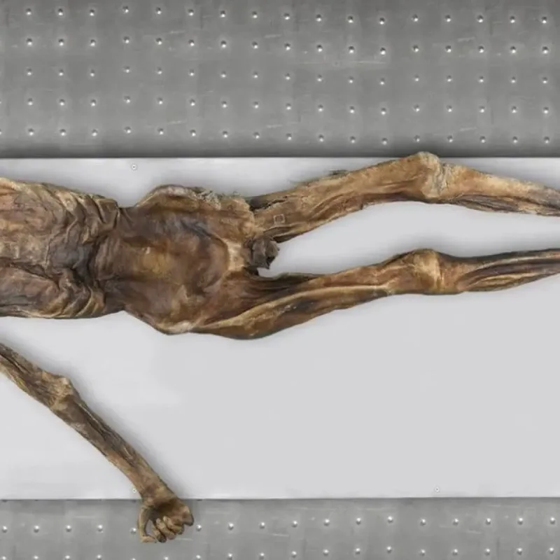 Ilmuwan Temukan Ekosistem Mikroba Hidup di Tubuh Mumi Ötzi si Manusia Es