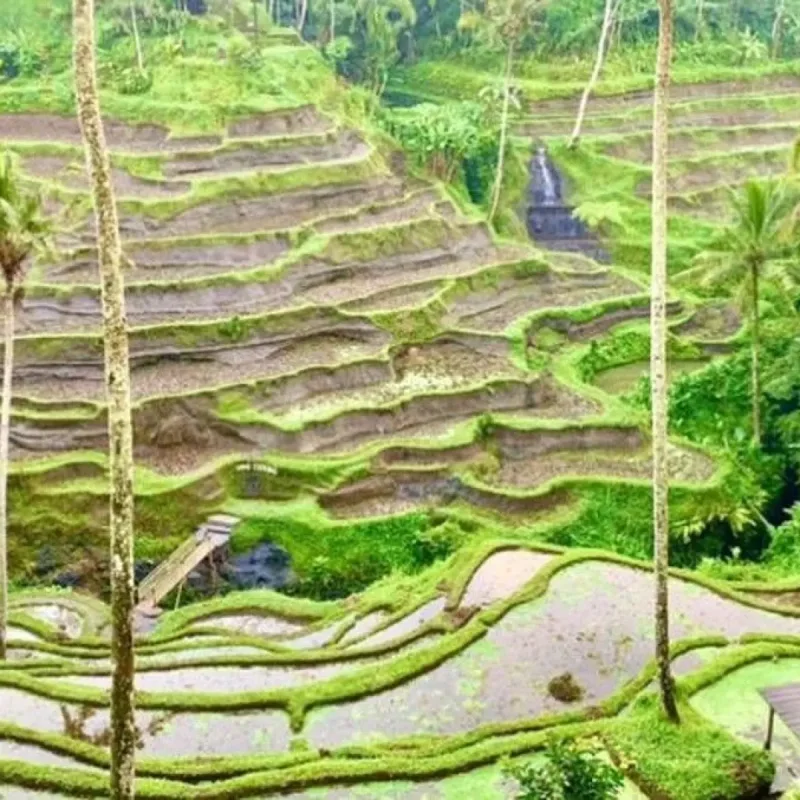 5 Kota di Indonesia yang Dianggap Biasa Saja oleh Turis Asing