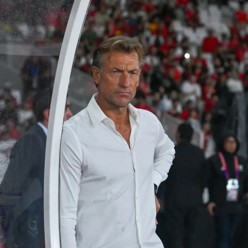 Herve Renard Ditunjuk Jadi Pelatih Baru Timnas Tunisia di Piala Dunia 2026