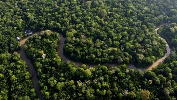 Debu Gurun Sahara Ternyata Berperan Jadi Pupuk Alami Hutan Amazon