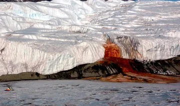 Air Terjun Darah di Antartika Ternyata Menyimpan Kehidupan Laut Purba