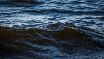 Suhu Lautan Dunia Membara Akibat Duet El Nino dan Emisi Manusia