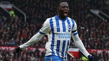 Manajer Brighton Upayakan Pertahankan Minteh di Tengah Incaran Liverpool