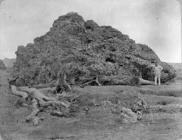 Ilustrasi letusan Gunung Krakatau 1883