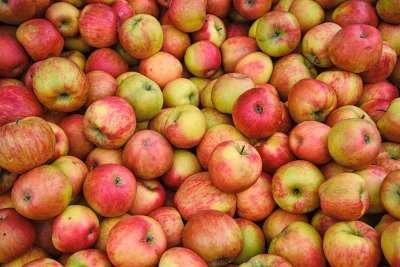 Misteri mangkirnya Apple dari pertemuan teknologi Gedung Putih
