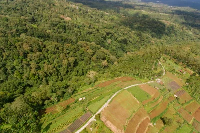Asal-usul Lahan Gambut di Indonesia Serta Proses Pembentukannya