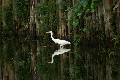 Ajang OurNature Environmental Photo Awards 2026 Abadikan Realitas Alam dan Sampah