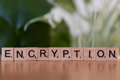 Potensi Masalah Hukum dan Privasi dalam UU Satu Data Indonesia