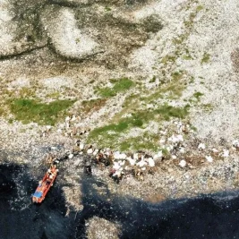 Pulau Sampah di Muara Angke Dibersihkan Pemprov DKI Jakarta