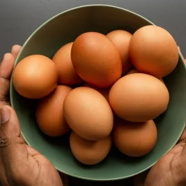 Kementan Minta Badan Gizi Nasional Serap Telur Peternak Lokal