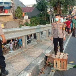 Polisi Pastikan Temuan Diduga Mayat Bayi di Depok Ternyata Bangkai Kucing