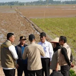 Pemerintah Kucurkan Rp1 Triliun untuk Pulihkan Lahan Pertanian Terdampak Bencana di Sumatra