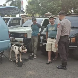 Anjing Pemburu Babi Hutan Serang Bocah 9 Tahun Hingga Tewas di Jasinga Bogor