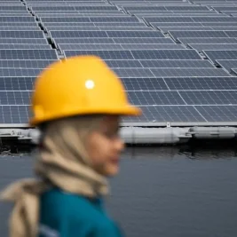 Indonesia Jajaki Investasi Energi Bersih di Amerika Latin
