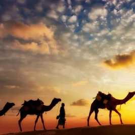Ekowisata Arab Saudi Berkembang Pesat, Al Urumah Season Cetak Rekor Kunjungan