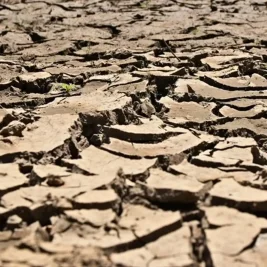 Lembaga Sains Cuaca Peringatkan Potensi El Nino Terkuat Sepanjang Sejarah