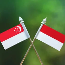 Indonesia dan Singapura Perluas Kerja Sama Ekonomi Kawasan BBK