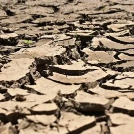 BMKG Prediksi El Nino Mulai Landa Indonesia Pertengahan 2026