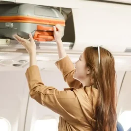 IATA Pertimbangkan Kunci Bagasi Kabin Saat Darurat Akibat Ulah Penumpang