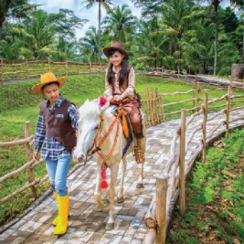 Sinar Mas Land Bangun Wisata Peternakan Dairyland di BSD City