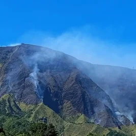 Kebakaran Hutan Melanda Bukit Sempana Lombok Timur, 116 Hektare Terbakar