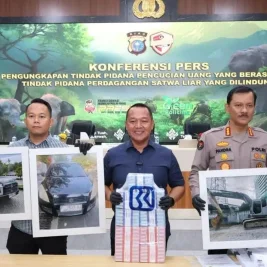 Polda Riau Tetapkan Dua Tersangka Pencucian Uang Perdagangan Gading Gajah