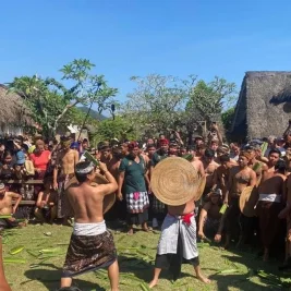 Tradisi Perang Pandan di Desa Tenganan Bali Kembali Pikat Wisatawan