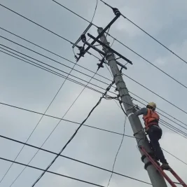 Kenali Ciri Tiang Listrik PLN untuk Keamanan Jaringan