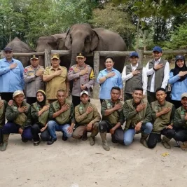 Rajiv Apresiasi Kelahiran Anak Gajah Sumatera di Tesso Nilo