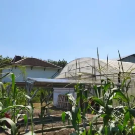 UGM Integrasikan PLTS Hybrid Agrovoltaic di Sleman untuk Smart Farming