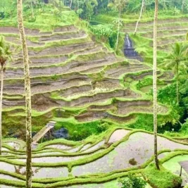 5 Kota di Indonesia yang Dianggap Biasa Saja oleh Turis Asing