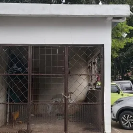 Satpol PP Bandung Bongkar Garasi Liar di Trotoar Jalan Ambon