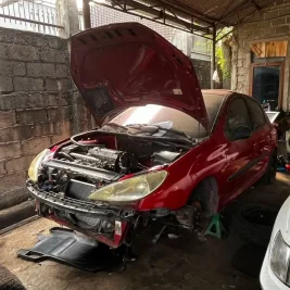 Tips Membeli Peugeot 206 Bekas: Periksa Riwayat Perbaikan ECU