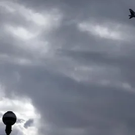 Pesawat Latih Militer Pakistan Jatuh di Mardan, Dua Pilot Tewas