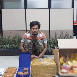 Bareskrim Gagalkan Penyelundupan 5,29 Kg Ganja dalam Paket Mi Instan