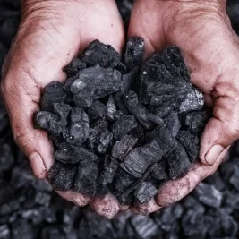 Harga Batu Bara Acuan Juni 2026 Naik Jadi 123,91 Dollar AS per Ton