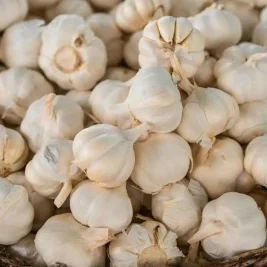 Bawang Putih Masuk Agenda Swasembada Pangan Nasional, Target 3-4 Tahun