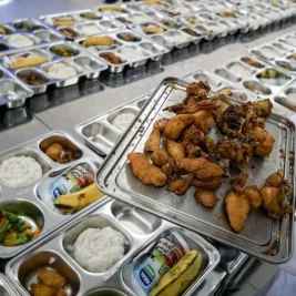 Badan Gizi Nasional Hentikan Makan Bergizi Gratis Selama Libur Sekolah