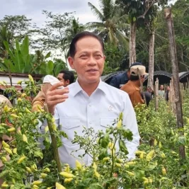 Hanif Faisol Soroti Rantai Pasok Cabai Akibat Harga Fluktuatif