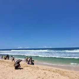 Lima Wisatawan Tersengat Ubur-ubur Beracun di Pantai Sepanjang Gunungkidul