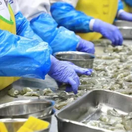 KKP Tegaskan Pengurusan Sertifikat Mutu Perikanan Gratis