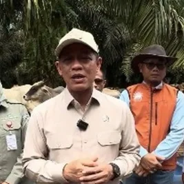Pemerintah Dorong Sistem Siska untuk Genjot Produksi Daging Sapi
