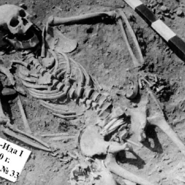 Peneliti Temukan Bukti Wabah Pes Tertua di Siberia
