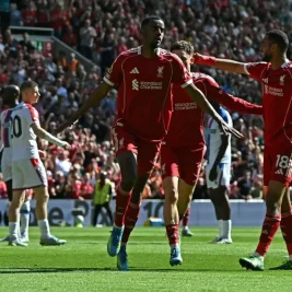 Cody Gakpo Waspadai Alexander Isak Jelang Belanda vs Swedia