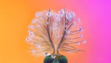 Foto-foto Spektakuler Jawara 1839 Awards Pamerkan Keindahan Warna Alam