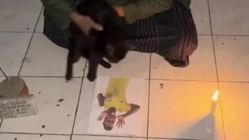 Viral Kucing Hitam Lompati Foto Vini, Netizen Klaim Berhasil Cegah Gol