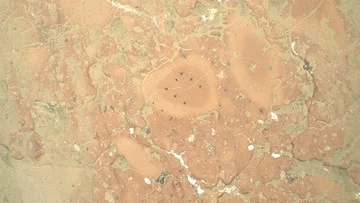 Mantan Karyawan SpaceX Dirikan Startup Konstruksi untuk Mars