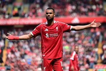 Liverpool Ogah Lepas Cody Gakpo Meski Diminati Tottenham