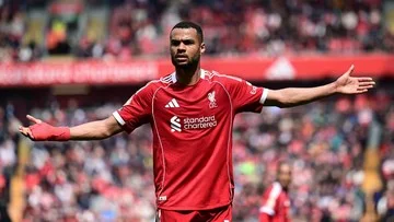 Eks Liverpool Emile Heskey Sarankan Jual Cody Gakpo Jika Ada Tawaran Bagus